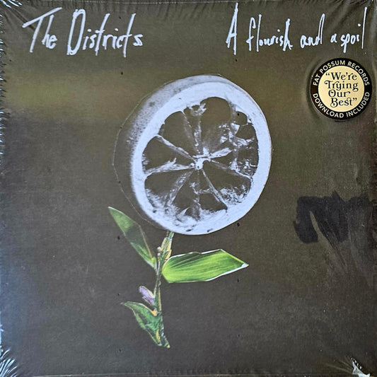 The Districts (3) - A Flourish And A Spoil (LP, Album)