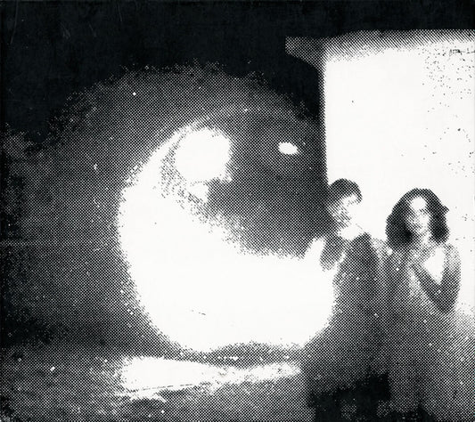 Other Lives - Tamer Animals (CD, Album)