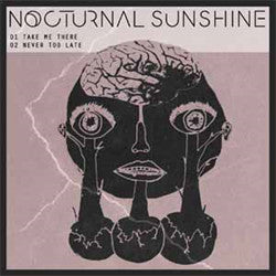 Nocturnal Sunshine - Take Me There (12")