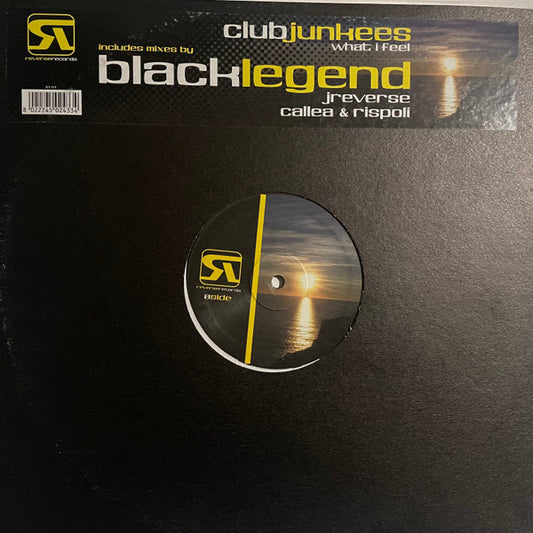 Club Junkees - What I Feel (12")