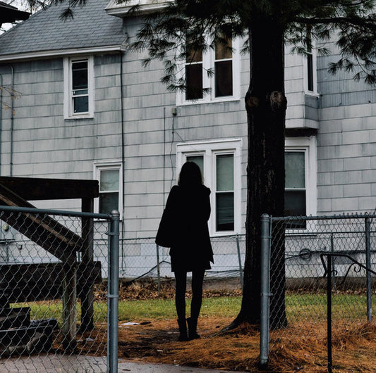 The Tallest Man On Earth - Dark Bird Is Home (LP, Album)
