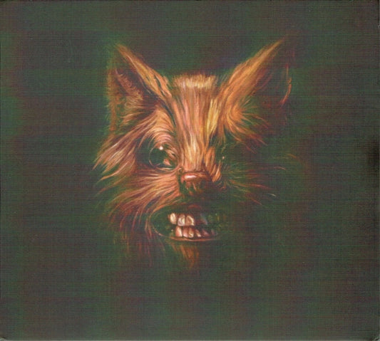Swans - The Seer (2xCD, Album, RE)