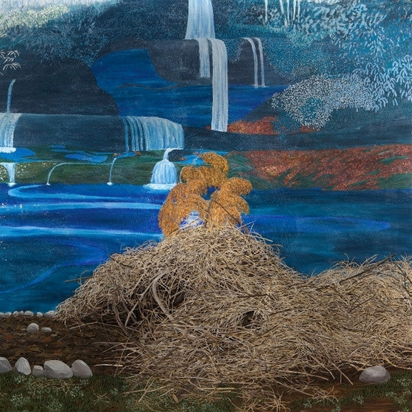 Mary Lattimore - At The Dam (LP, Album)