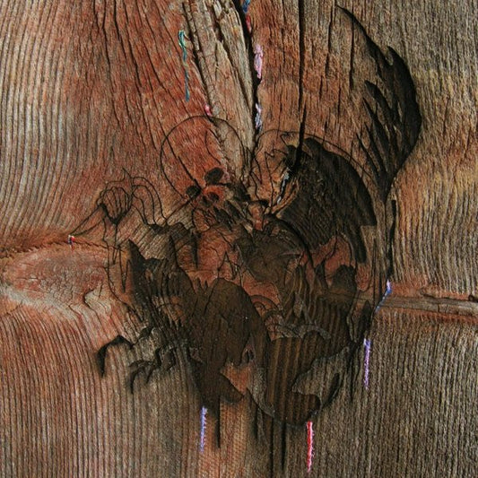 Slasher Flicks* - Enter The Slasher House (2xLP, Album)