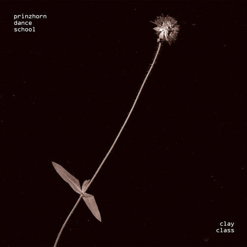 Prinzhorn Dance School - Clay Class (CD, Album)