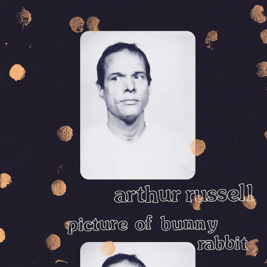 Arthur Russell - Picture Of Bunny Rabbit (LP, Comp)