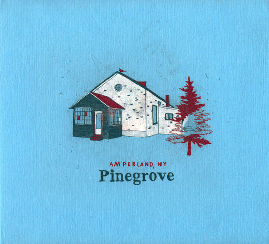Pinegrove - Amperland, NY (CD, Album)