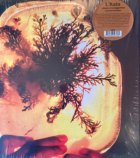 L'Rain - Fata Morgana (LP, Album)