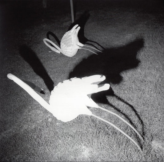 Siavash Amini - A Mimesis Of Nothingness  (LP, Album, Whi)