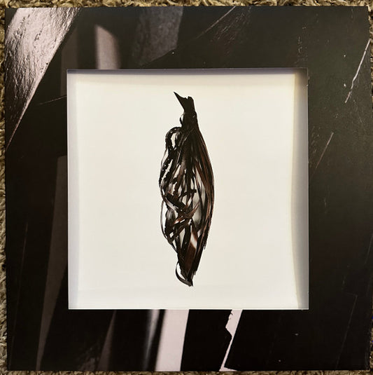 Into It. Over It. - Interesting Decisions (LP, Comp)