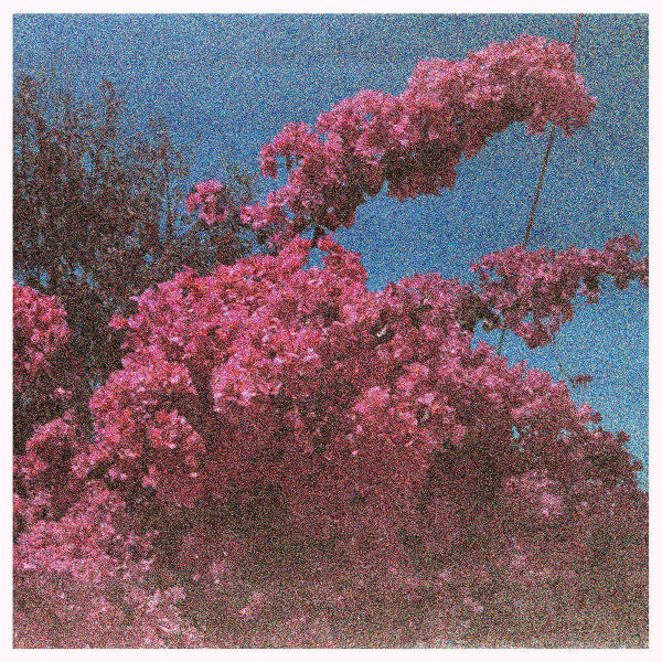 Elisabeth Klinck - Picture a Frame (LP, Album)