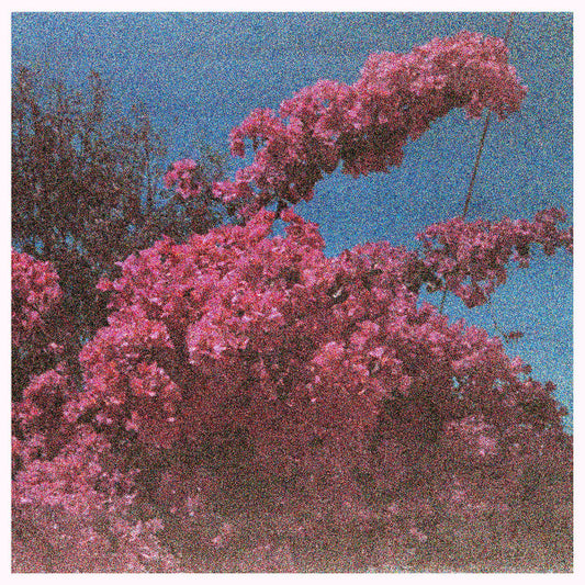 Elisabeth Klinck - Picture a Frame (LP, Album)