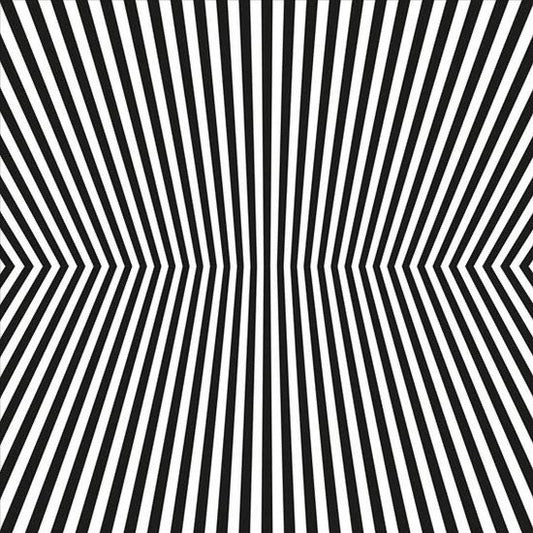 The Vacant Lots - Damage Control (CD, Comp)