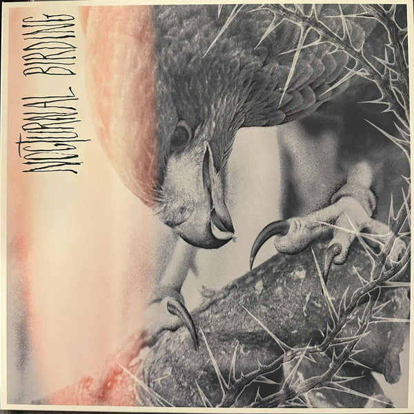 Author & Punisher - Nocturnal Birding (LP, Album, Ora)