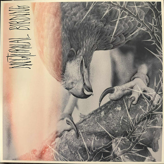 Author & Punisher - Nocturnal Birding (LP, Album, Ora)