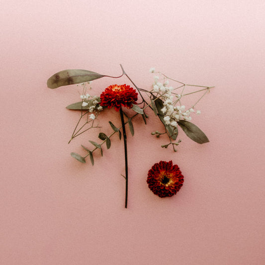 Sunsleeper - You Can Miss Something & Not Want It Back (LP, Album, Ltd, Cle)