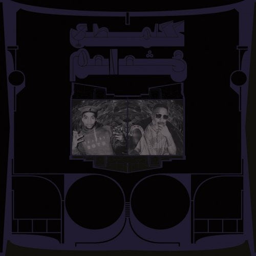 Shabazz Palaces - Exotic Birds of Prey (LP, Tra)