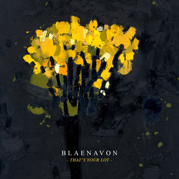 Blaenavon - That's Your Lot (CD, Album)