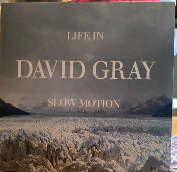 David Gray - Life In Slow Motion (LP, Album)