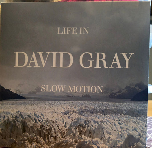David Gray - Life In Slow Motion (LP, Album)