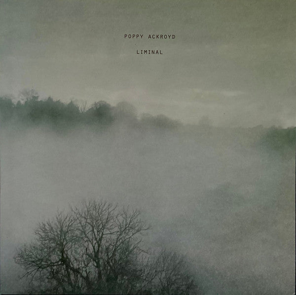 Poppy Ackroyd - Liminal (LP, Album)