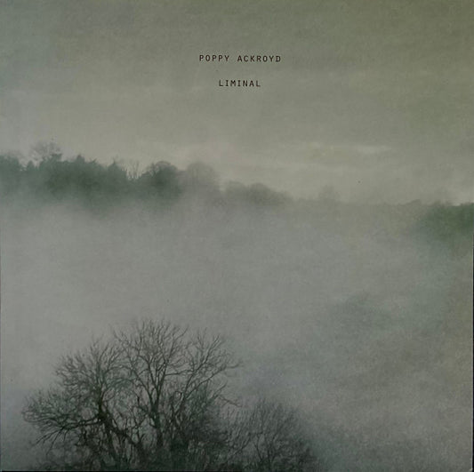 Poppy Ackroyd - Liminal (LP, Album)