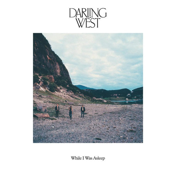 Darling West - While I Was Asleep (LP, Album)