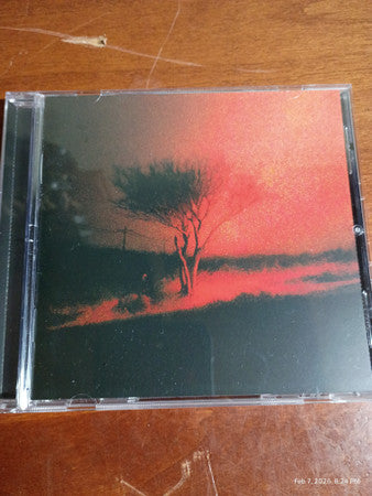 Joji - Piss In The Wind (CD, Album)