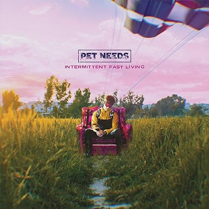 Pet Needs - Intermittant Fast Living (CD, Album)