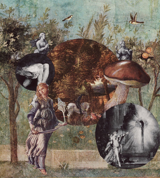 Native Harrow - Old Kind Of Magic (CD, Album)