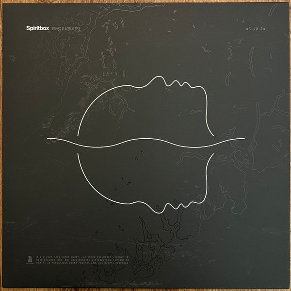 Spiritbox - Tsunami Sea (LP, Album)