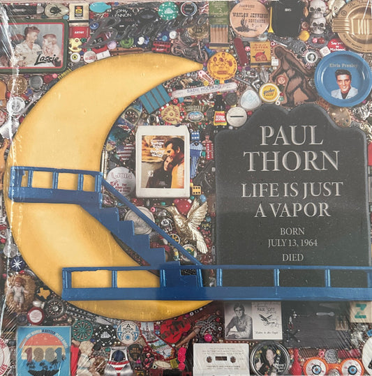 Paul Thorn - Life Is Just A Vapor (LP)