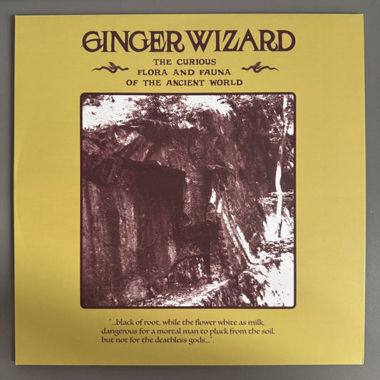 Ginger Wizard - Curious Flora & Fauna Of The Ancient World (LP, Album, Eco)