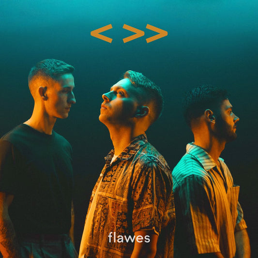 Flawes - One Step Back, Two Steps Forward (LP, Album)
