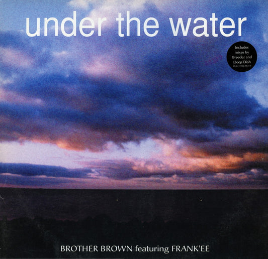 Brother Brown Featuring Frank'ee - Under The Water (12")