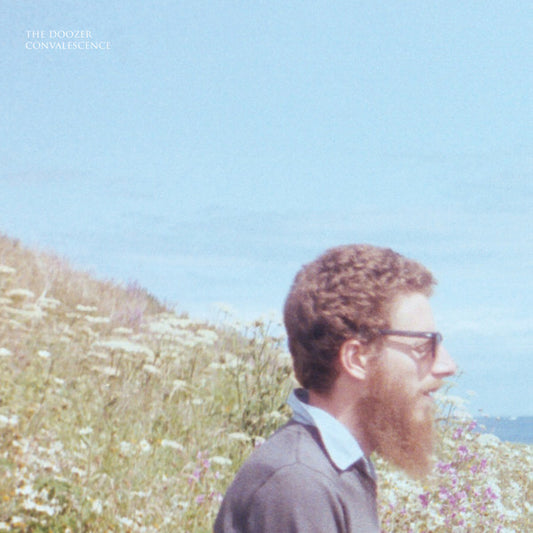 The Doozer - Convalescence (LP, Album, Ltd)
