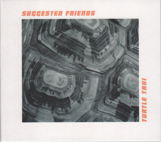 Suggested Friends - Turtle Taxi (CD, Album)