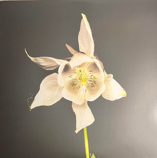 Fridge - Happiness (2xLP, Album, RE, Yel)