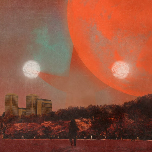 Erika Dohi - I, Castorpollux (LP, Album)