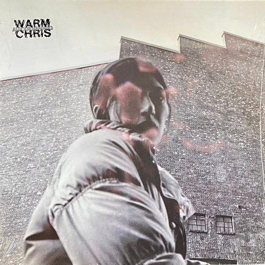 Aldous Harding - Warm Chris (LP, Album)