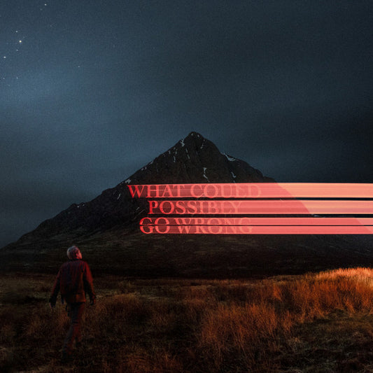 Dominic Fike - What Could Possibly Go Wrong (LP, Album)