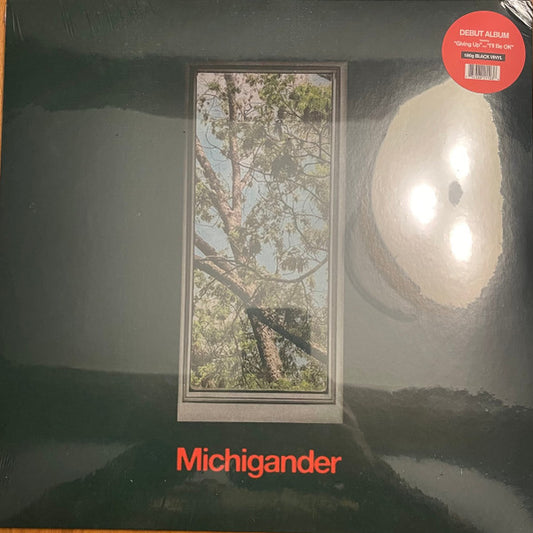 michigander - Michigander (LP, Album)