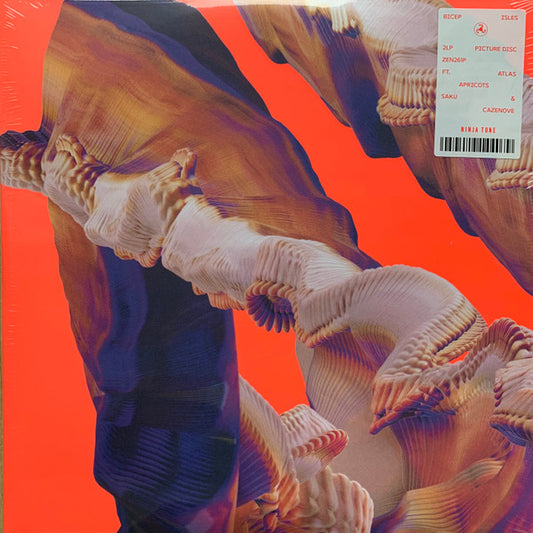 Bicep - Isles (2xLP, Album, Pic, Gat)