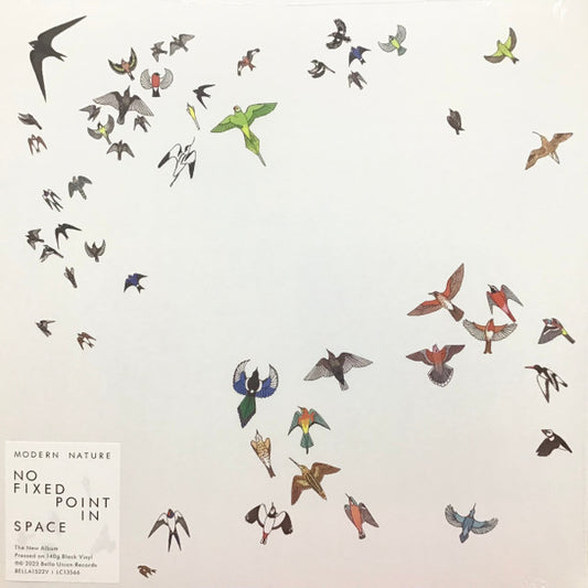 Modern Nature - No Fixed Point In Space (LP, Album, Mono, 140)