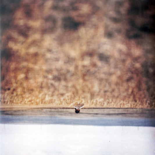 Jim O'Rourke - Hands That Bind (Original Motion Picture Soundtrack) (LP)