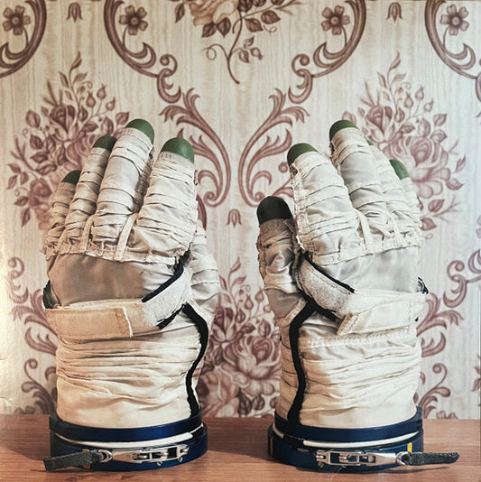 Stephan Mathieu, David Sylvian - Wandermüde (2xLP, RE, RM, Cle)