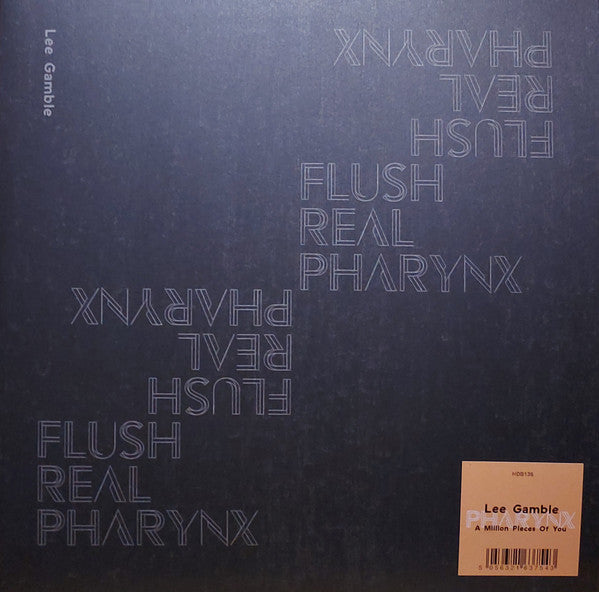 Lee Gamble - A Million Pieces Of You (12", EP, Ltd, Cle)