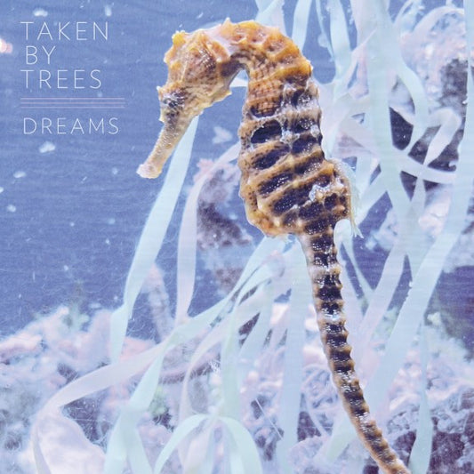Taken By Trees - Dreams (12")