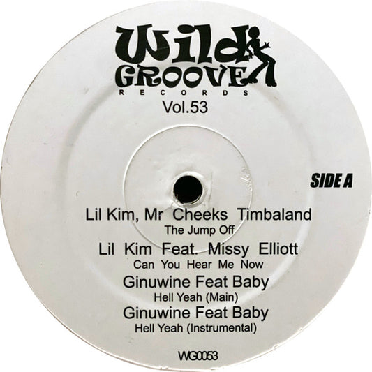 Various - Wild Groove Records Vol. 53 (12")