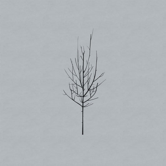 Low - Ones And Sixes (2xLP, Album)